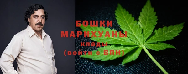 мдпв Дмитров